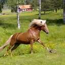 Lon@